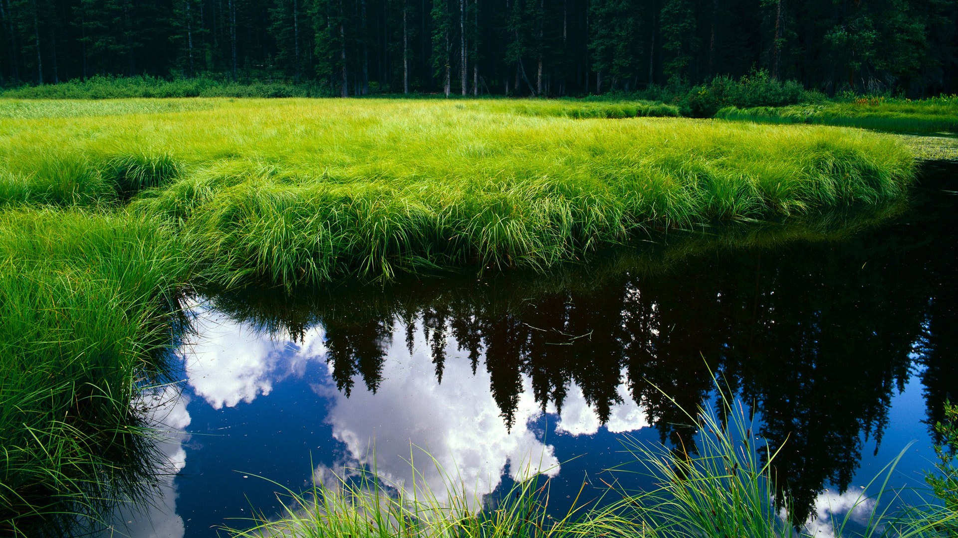 FB体育下载-全球最热台球赛事全面盘点,台球世界赛事