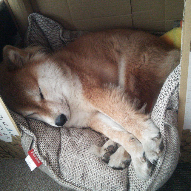 FBSPORTS-生态探险跑：绿色环保新趋势，生态挑战