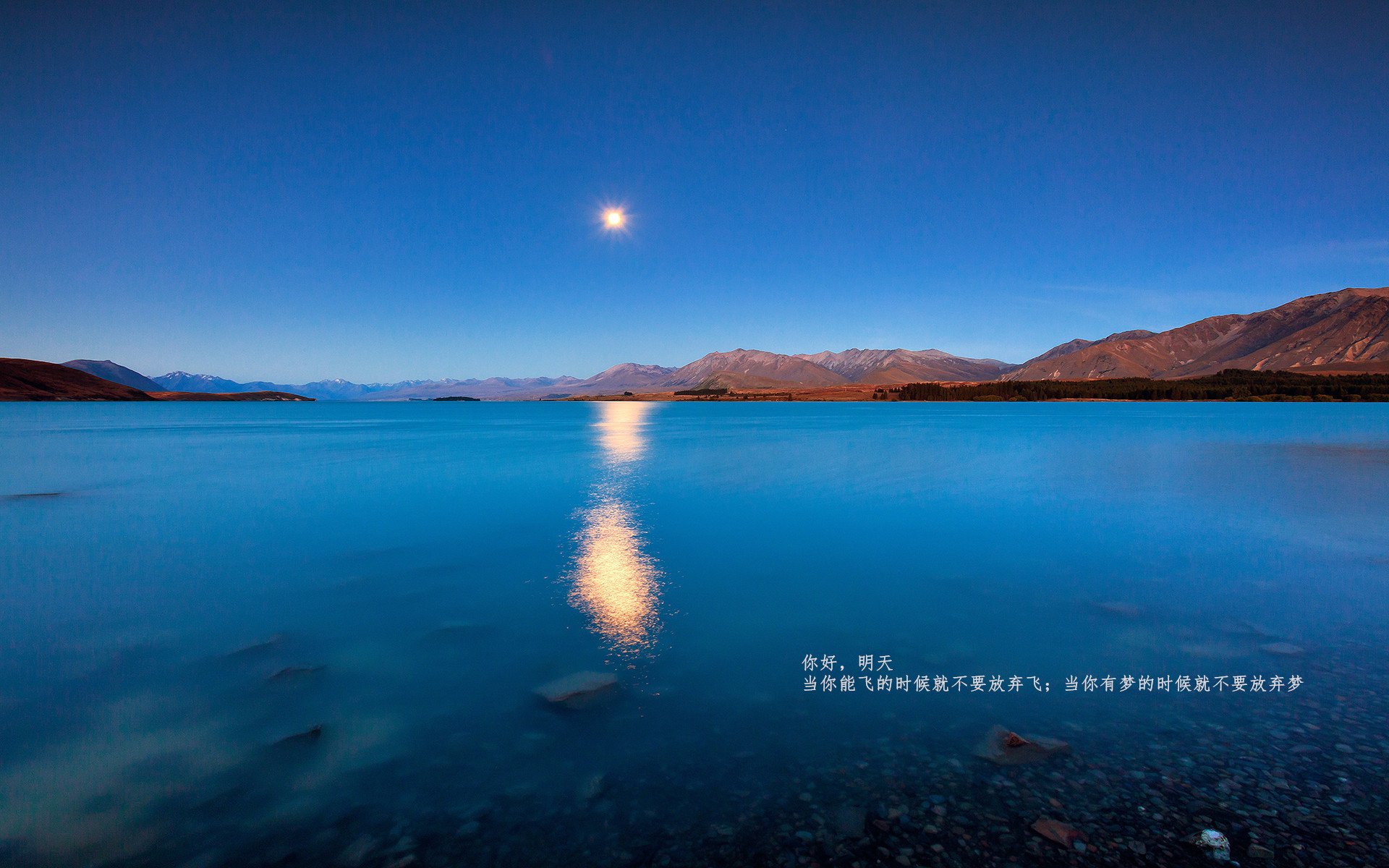 fb体育app官网-逆袭“奇迹夜”：让全欧洲疯狂的逆转夜，回忆无数，v圈奇迹之夜