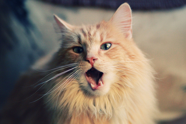 FB体育官方网站-德甲俱乐部足球与社会公益结合的品牌创新,德甲合作伙伴