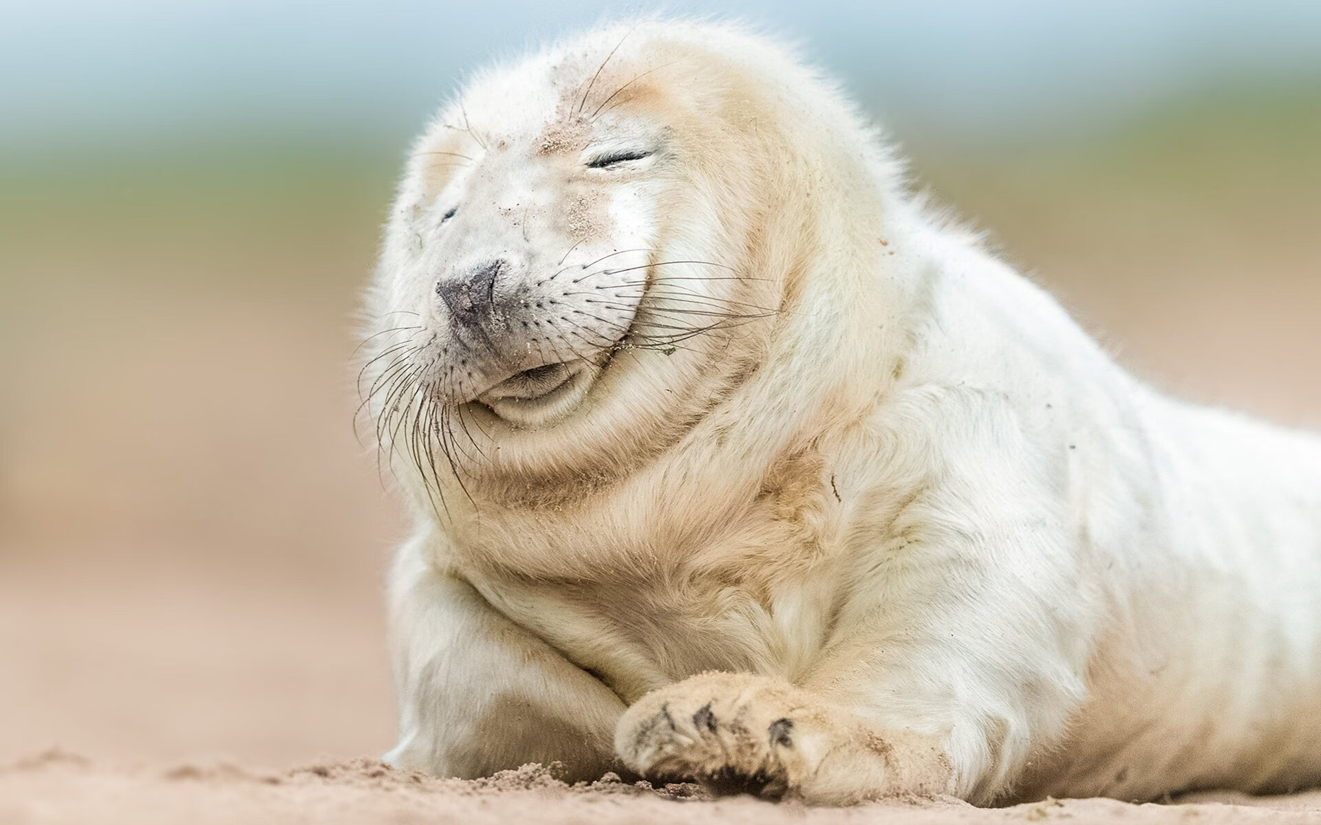 -篮球运动员技能动作规范化训练与评估方法,篮球动作技能理论知识