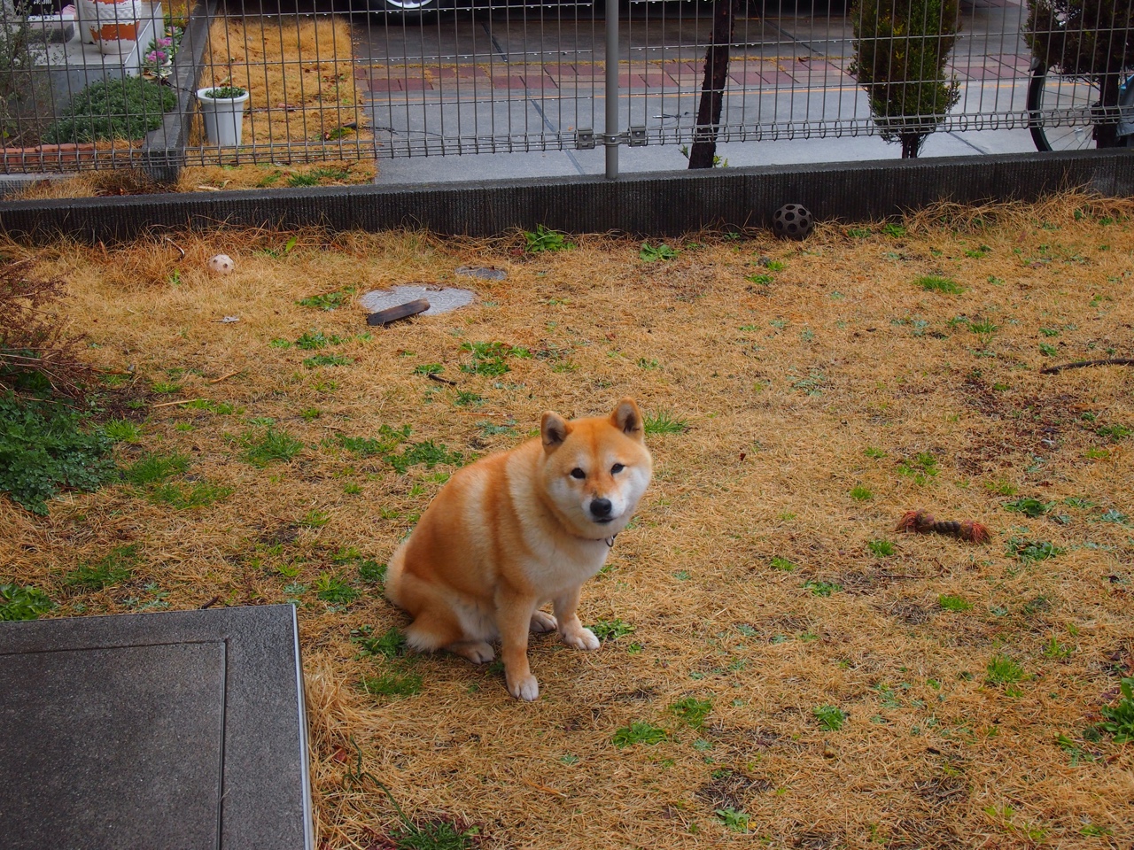 FBSPORTS-英超VAR系统通过语义推理机制判断手球意图合理性，英超vr技术